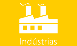 anima industria